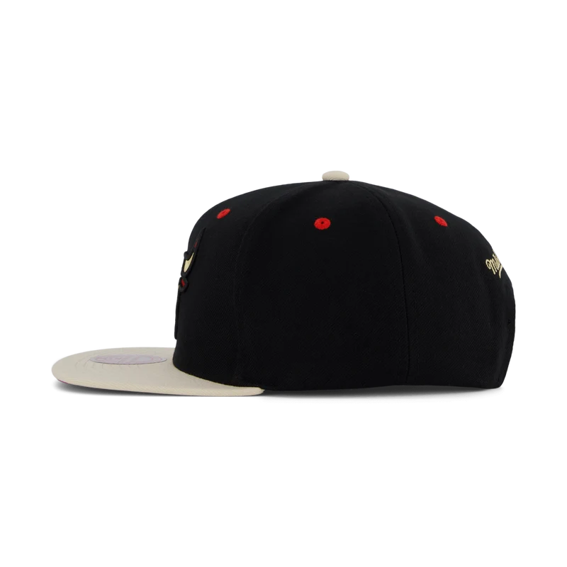 Bulls Pin Drop Snapback