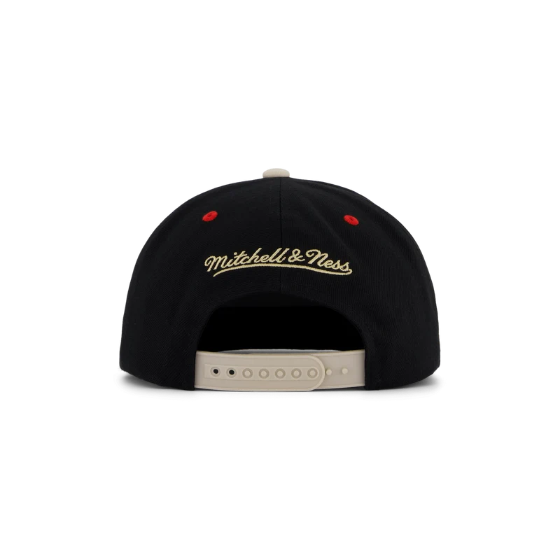 Bulls Pin Drop Snapback