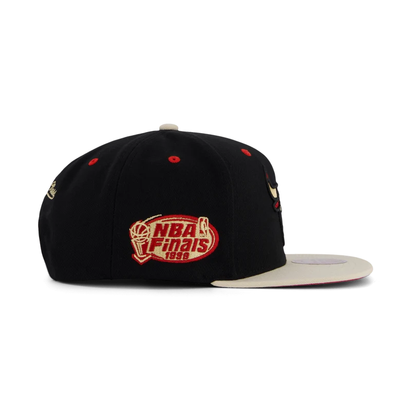 Bulls Pin Drop Snapback
