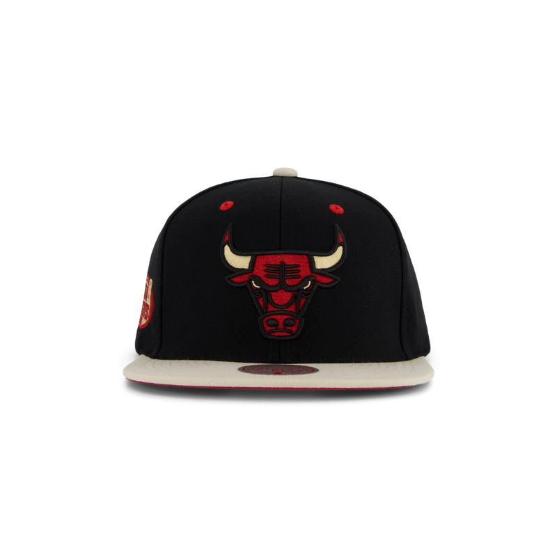 Bulls Pin Drop Snapback