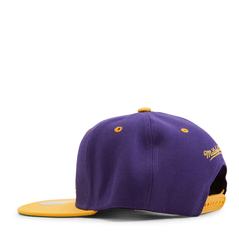 Monument Snapback
