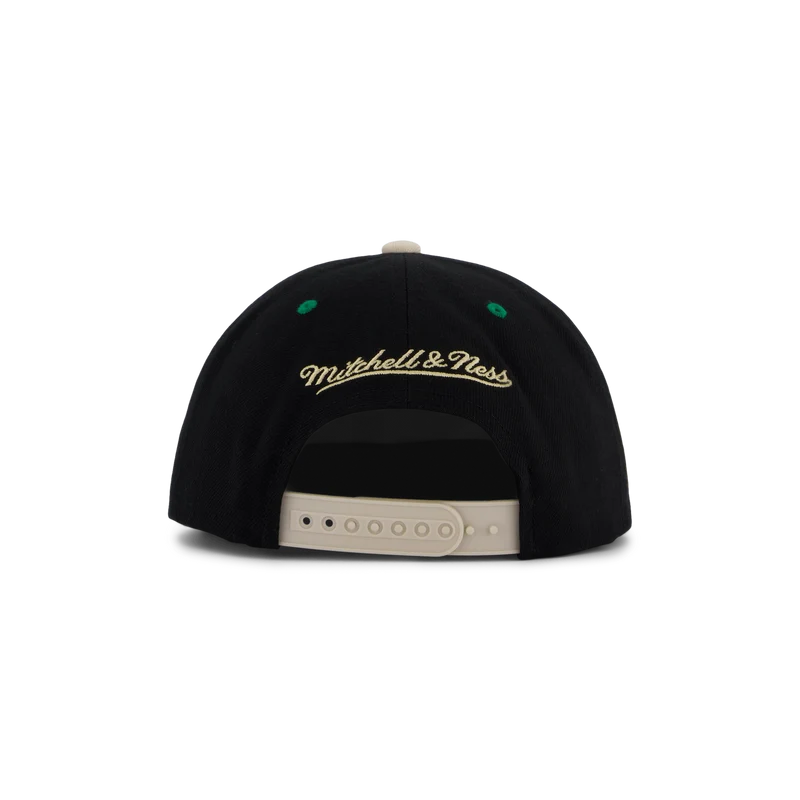 Celtics Pin Drop Snapback