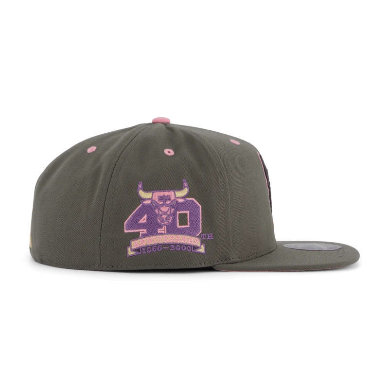 Bulls Lavender Dreams Fitted HWC