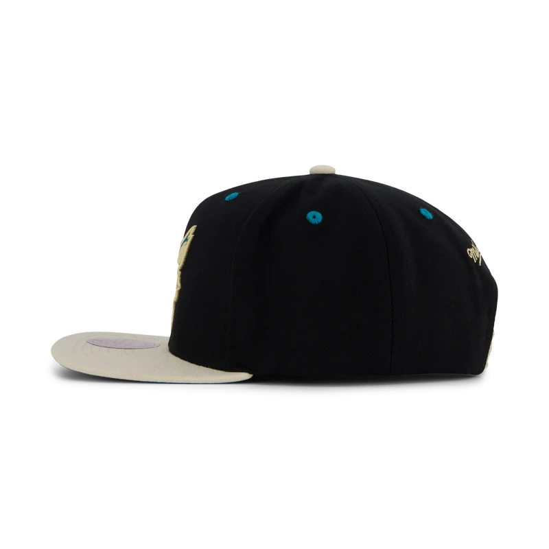 Hornets Pin Drop Snapback