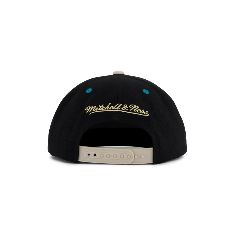 Hornets Pin Drop Snapback