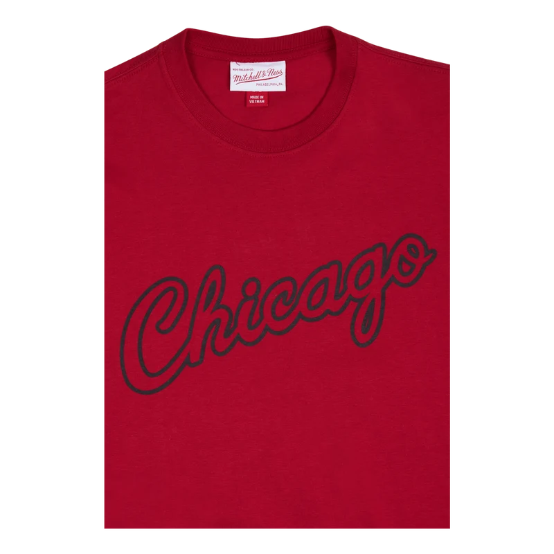 Bulls Champ City SS Tee