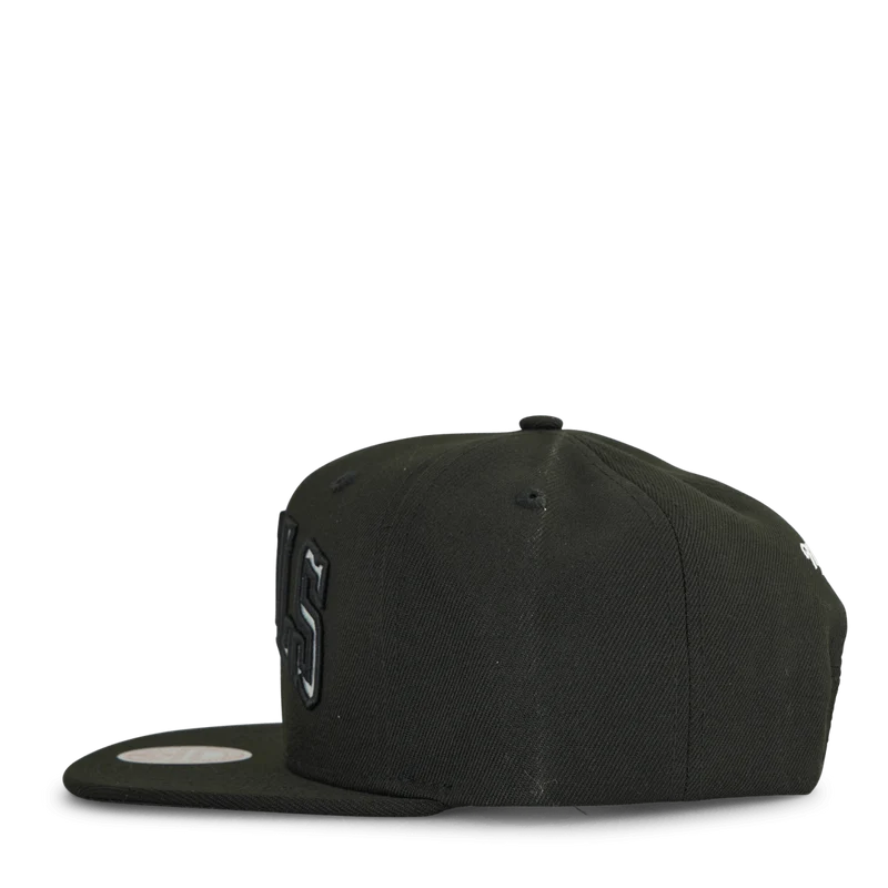 Bulls Iridescent Wordmark Snapback