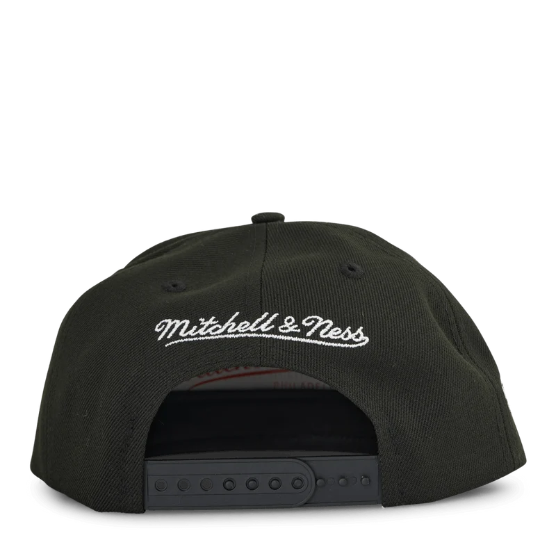 Bulls Iridescent Wordmark Snapback