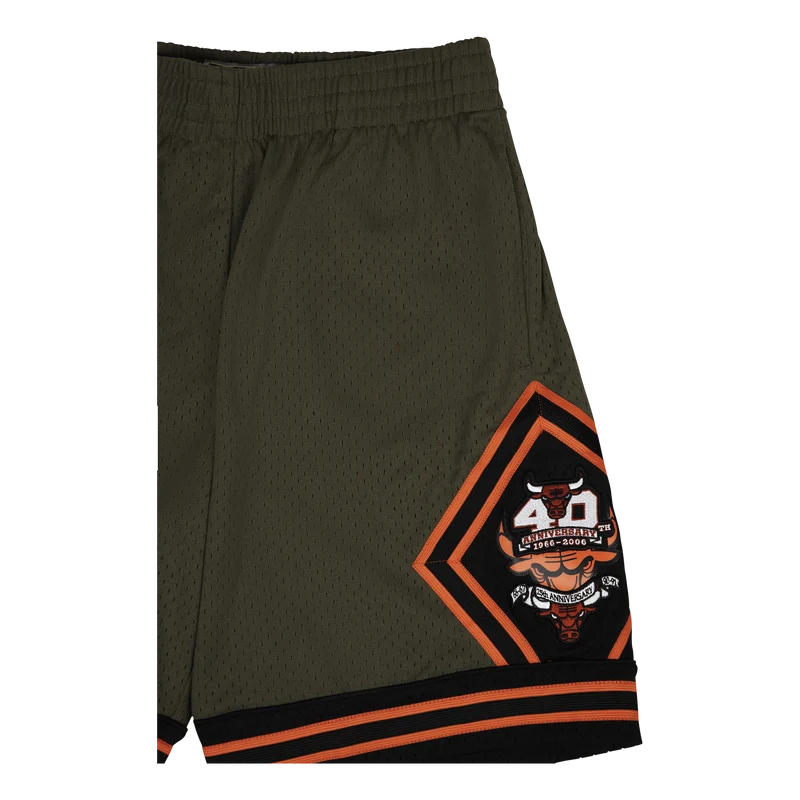 Bulls Flight Swingman Shorts 1997