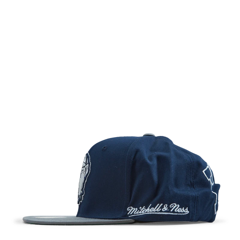 Hoyas Back In Action Snapback