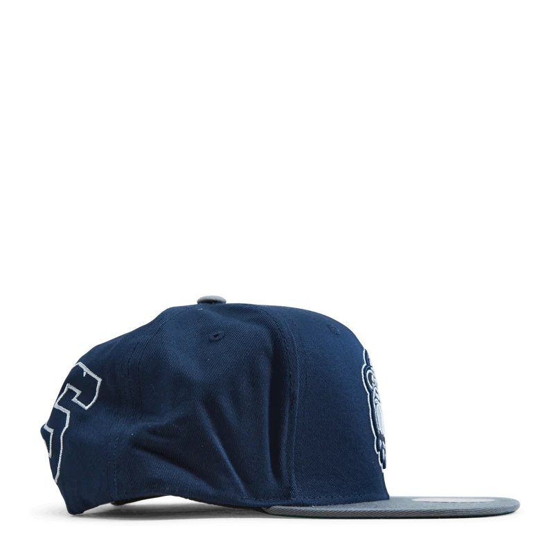 Hoyas Back In Action Snapback