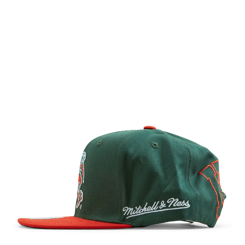 Back In Action Snapback