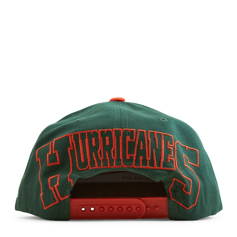 Back In Action Snapback