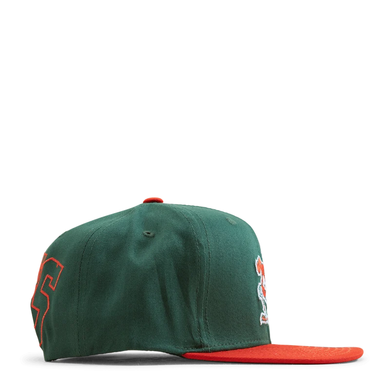 Back In Action Snapback