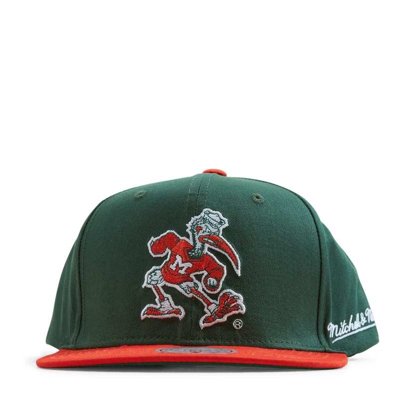 Back In Action Snapback