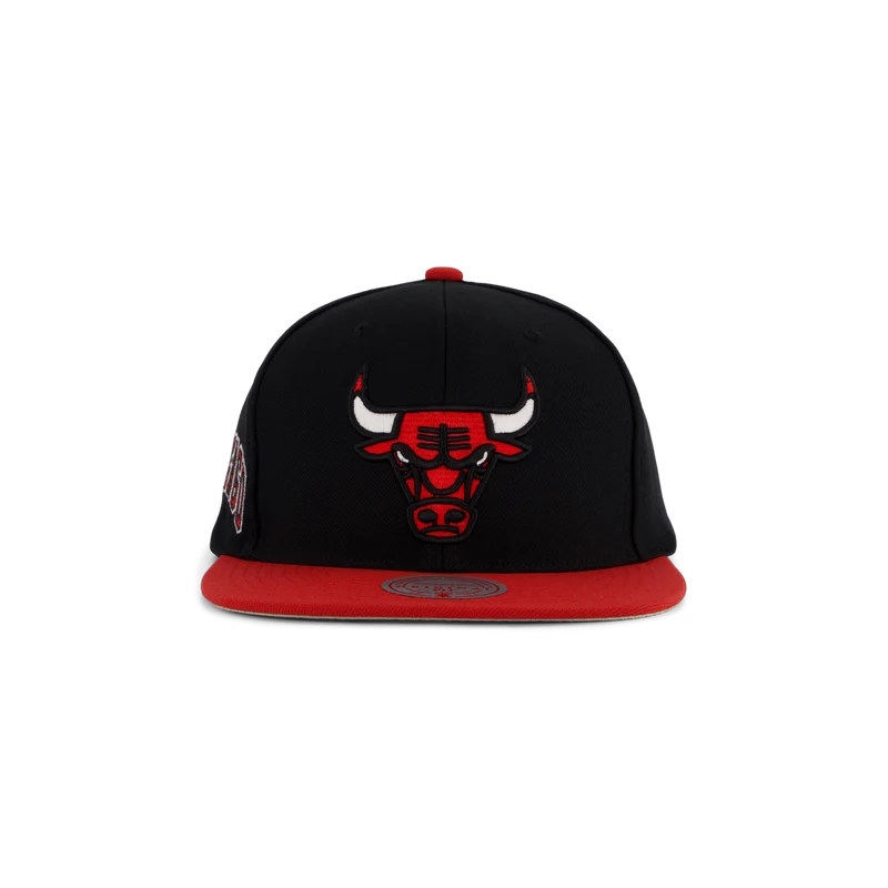 Bulls Side Core 2.0 Snapback
