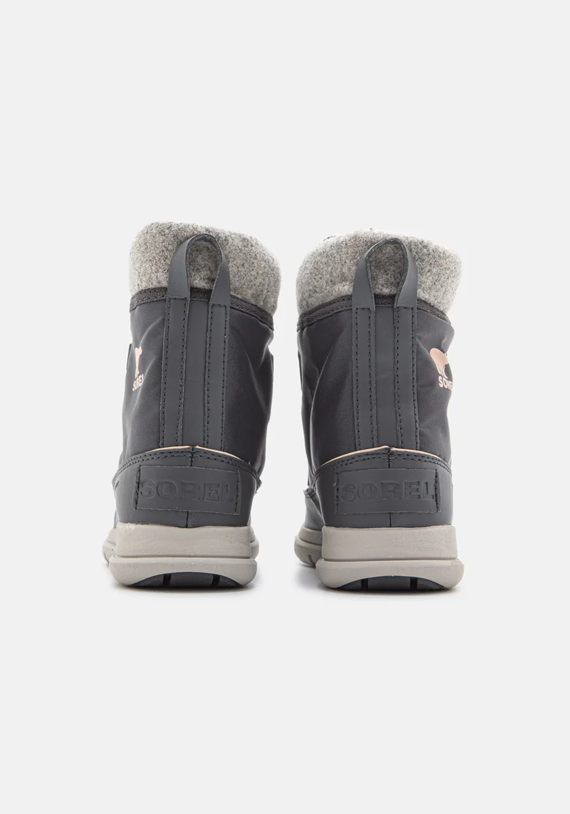 NL3421 Explorer Carnival dark slate