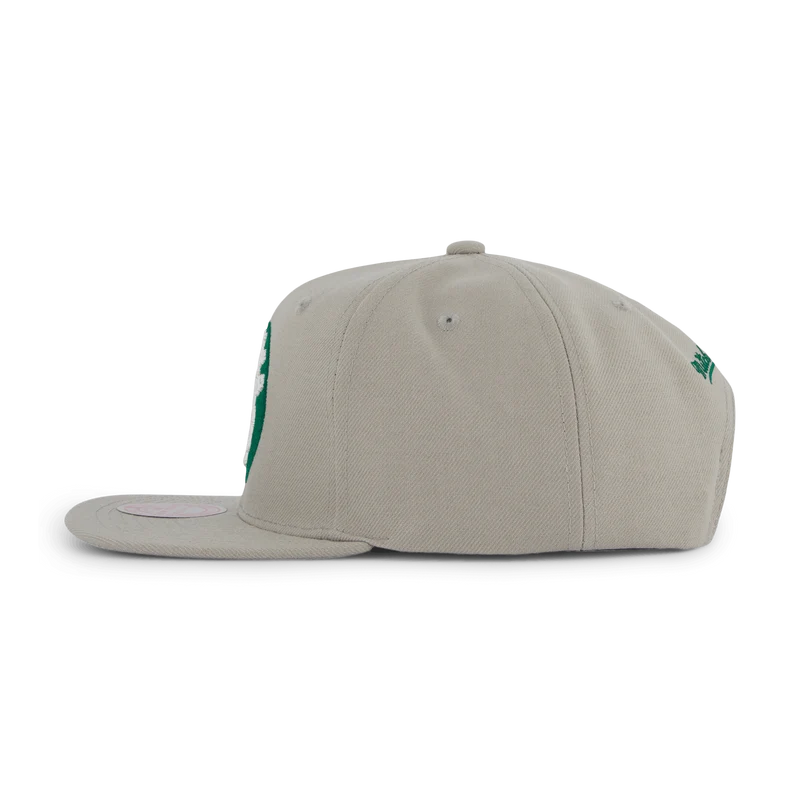 Celtics Side Core 2.0 Snapback