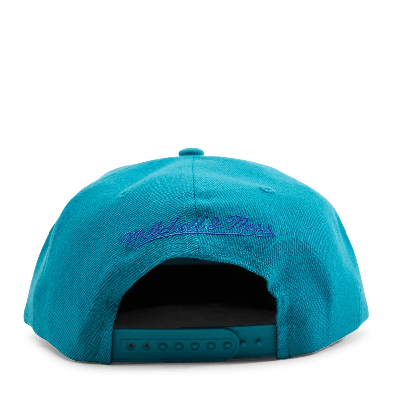 Hornets Two Tonal Snapback HWC