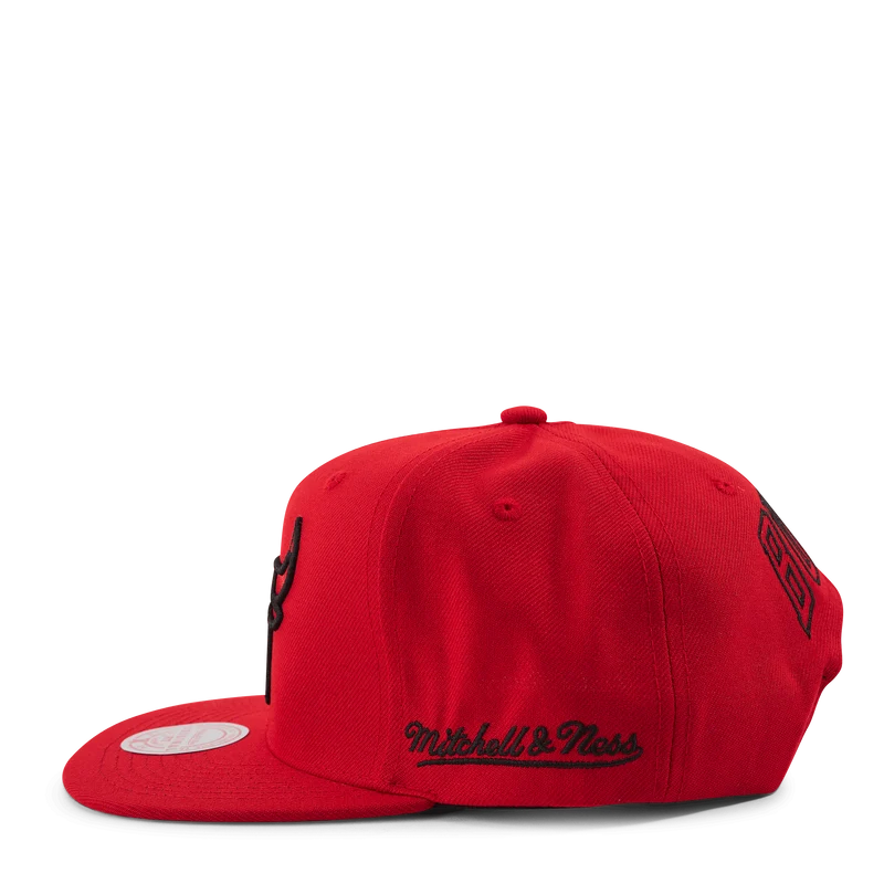 Christmas Day Snapback