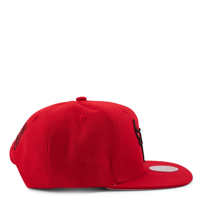 Christmas Day Snapback