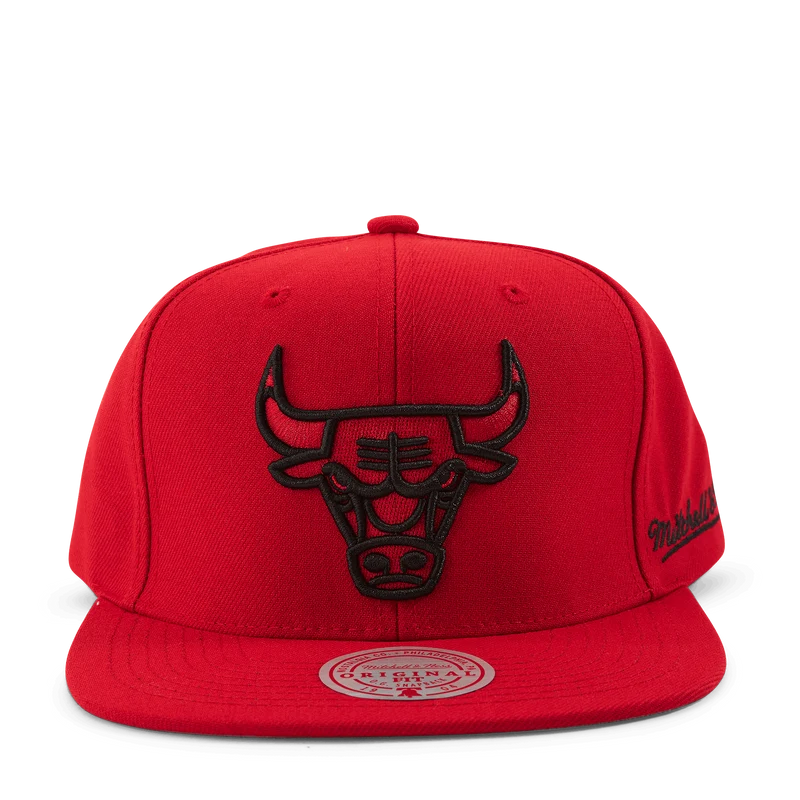 Christmas Day Snapback