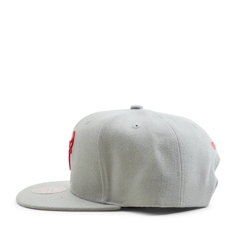 Bulls 2 Tonal Snapback HWC