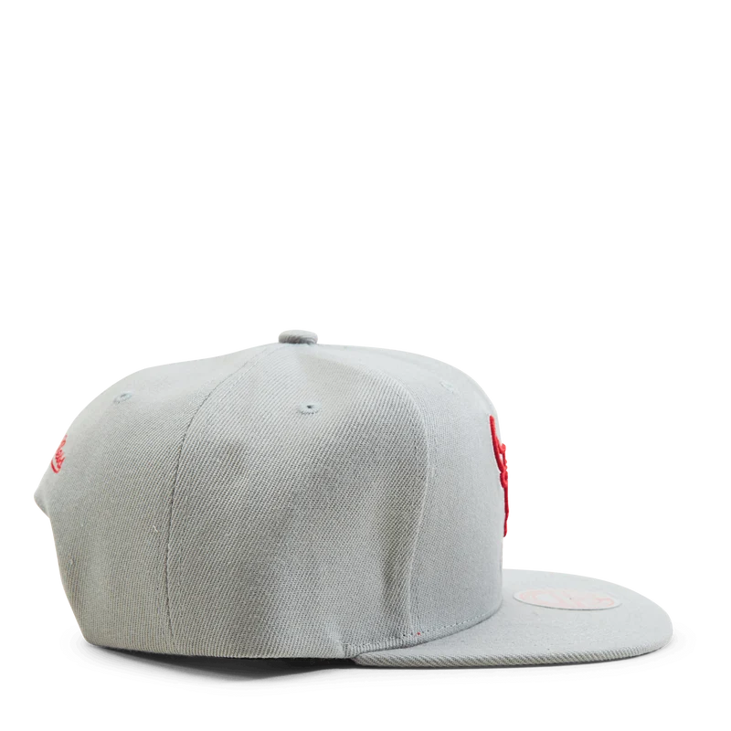 Bulls 2 Tonal Snapback HWC