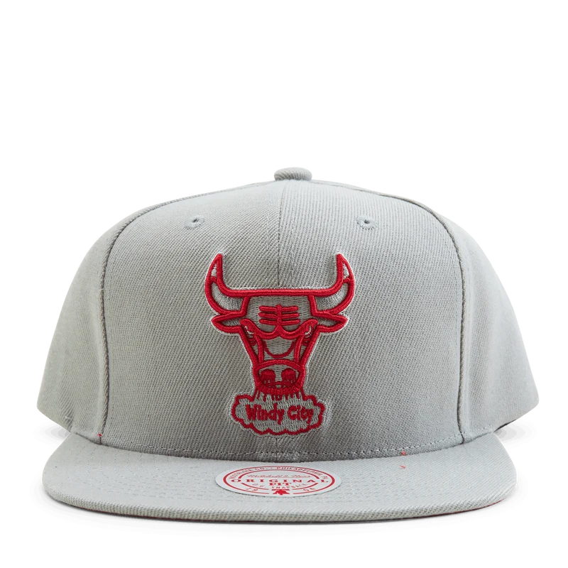 Bulls 2 Tonal Snapback HWC