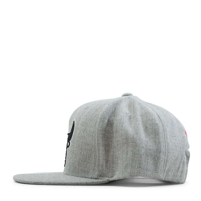 Bulls Team Snapback