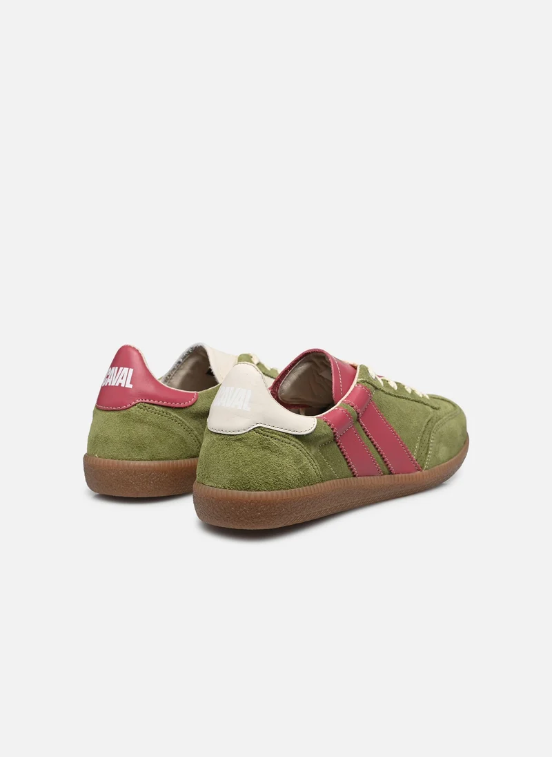 Pulse matcha berry