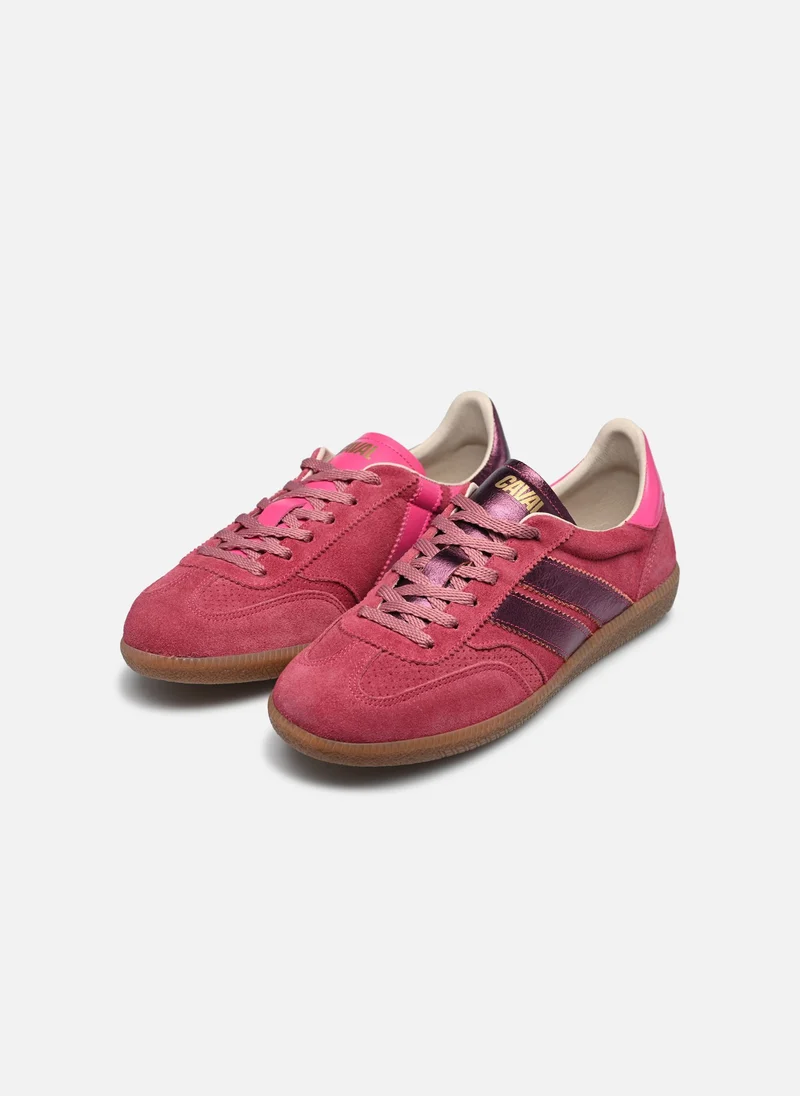 Pulse metallic bambino