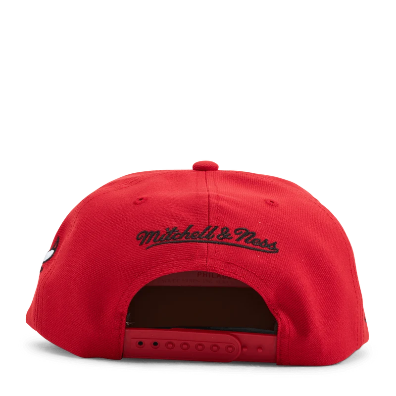 Bulls The Finals Snapback