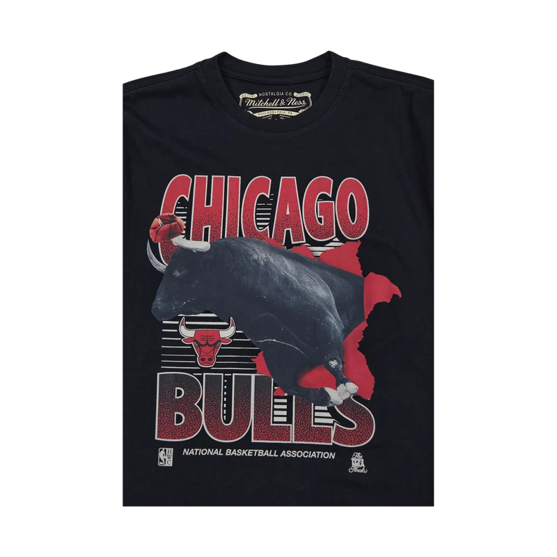 Bulls Scenic Tee