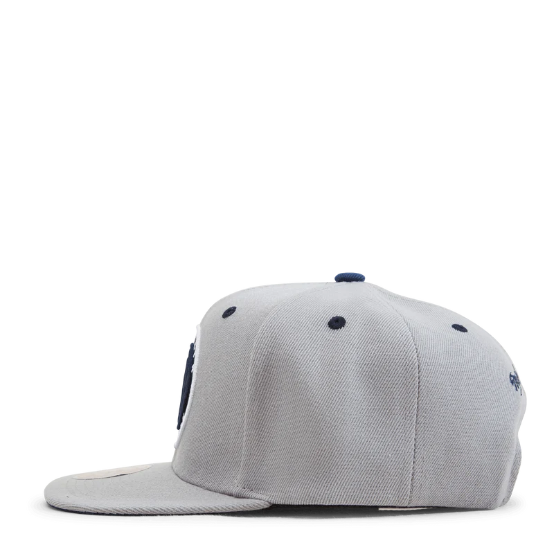 Nets The District Snapback