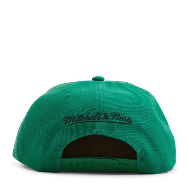 Celtics Dual Whammy Snapback