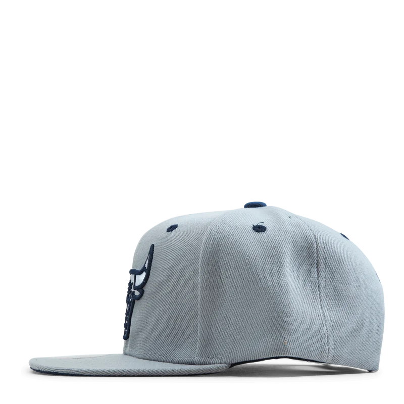 Bulls The District Snapback