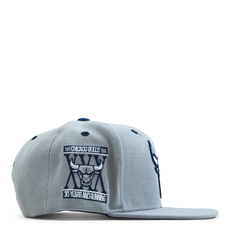 Bulls The District Snapback
