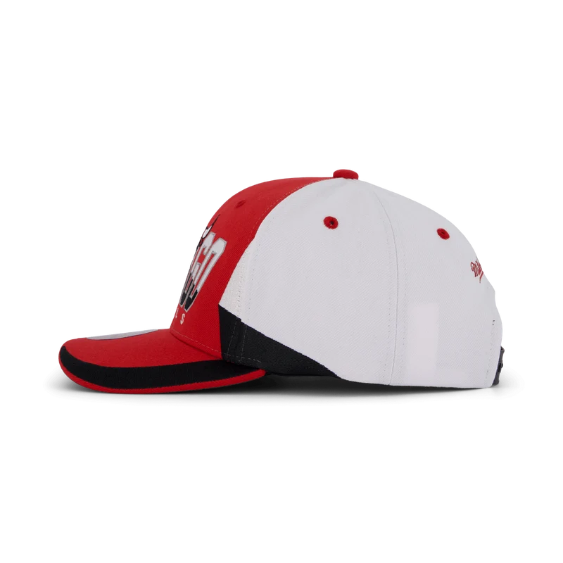 Bulls Retrodome Pro Snapback