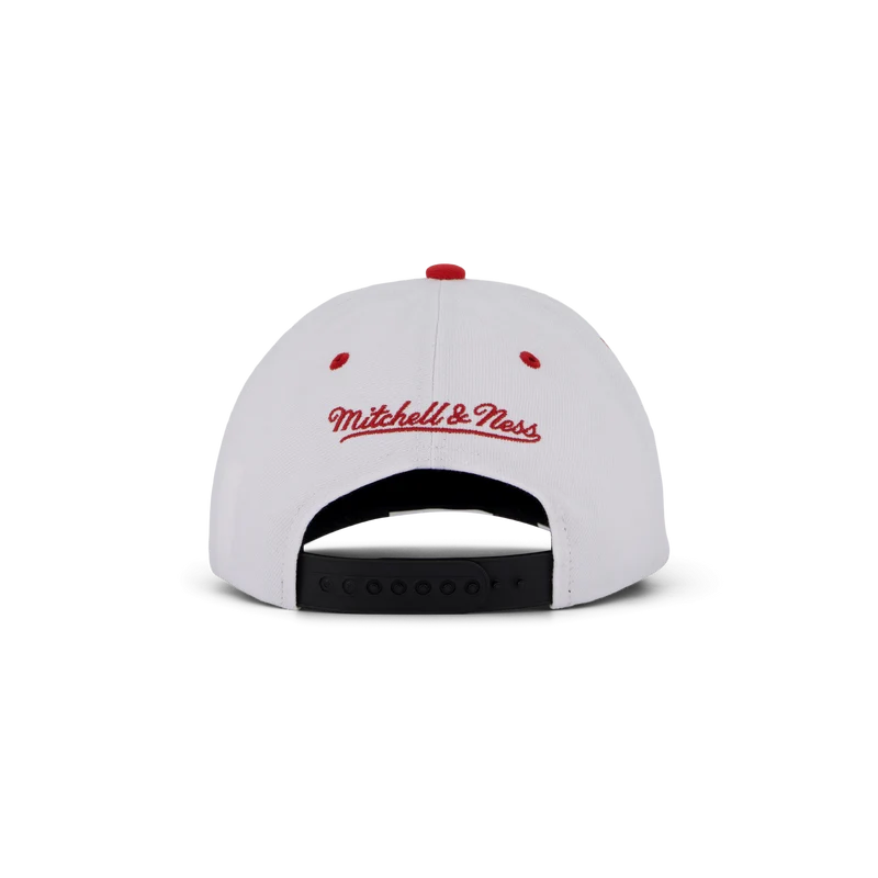 Bulls Retrodome Pro Snapback