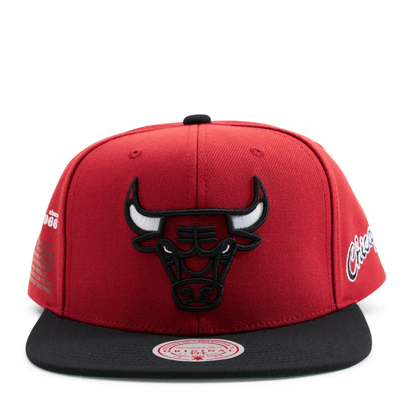 Bulls Origins Snapback HWC