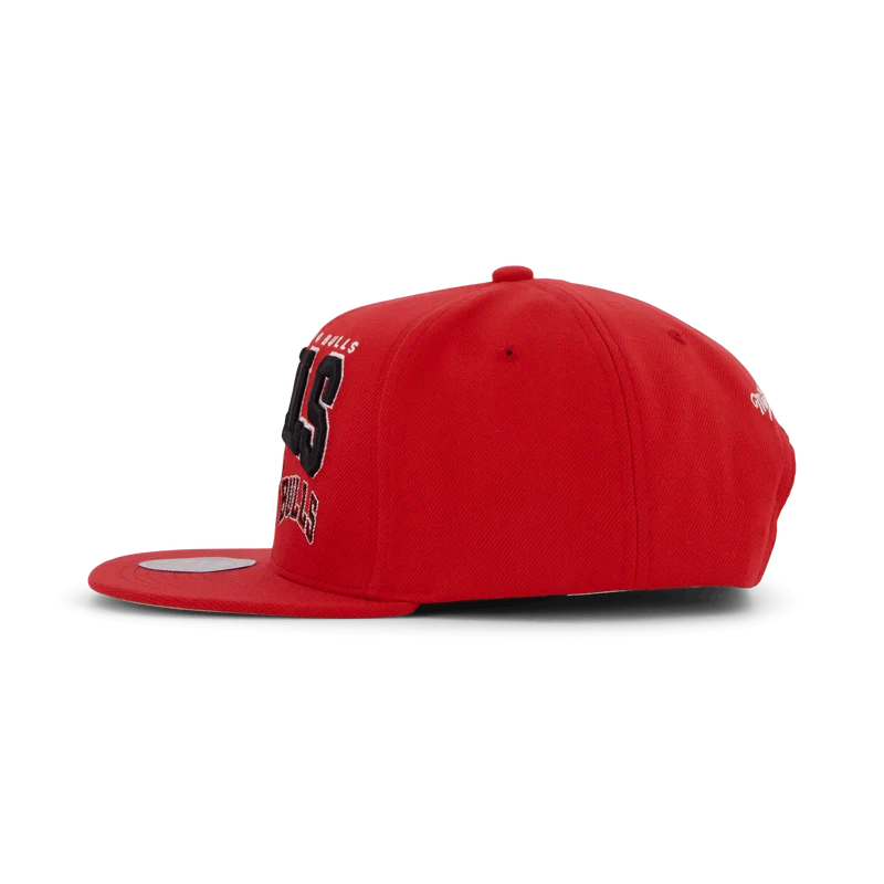 Bulls Champ Stack Snapback