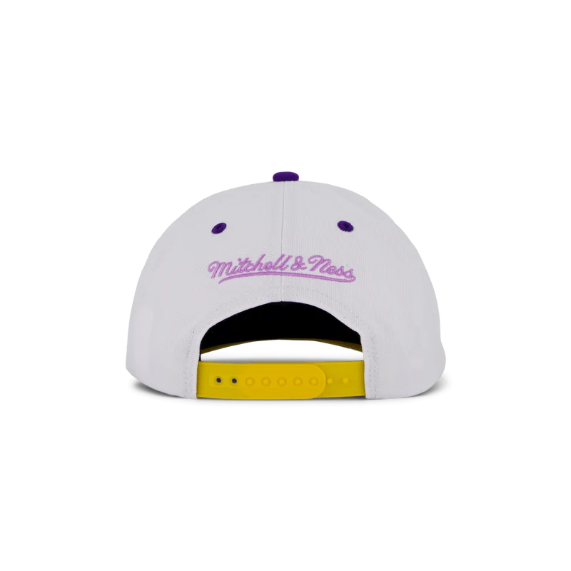 Lakers Retrodome Pro Snapback