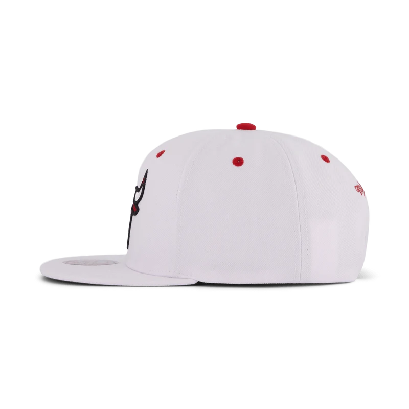 Bulls White Team Color Snapback