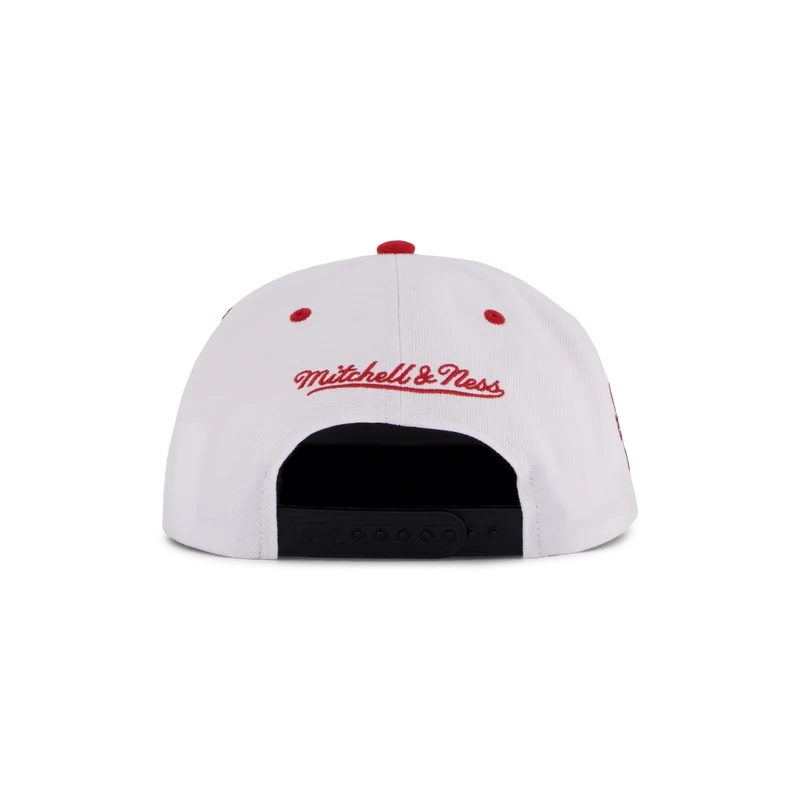 Bulls White Team Color Snapback