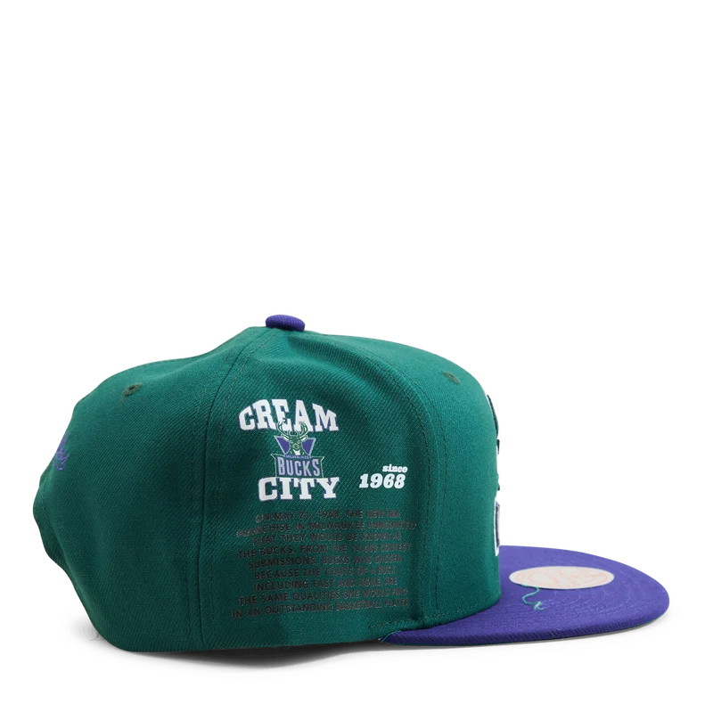 Bucks Team Origins Snapback HWC