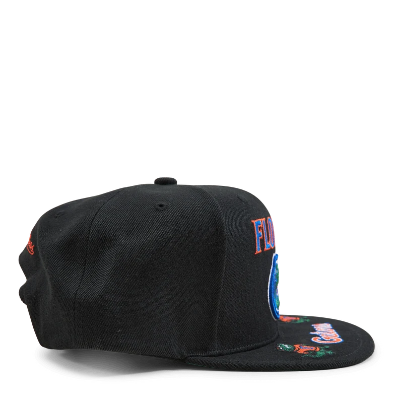 Gators Front Loaded Snapback