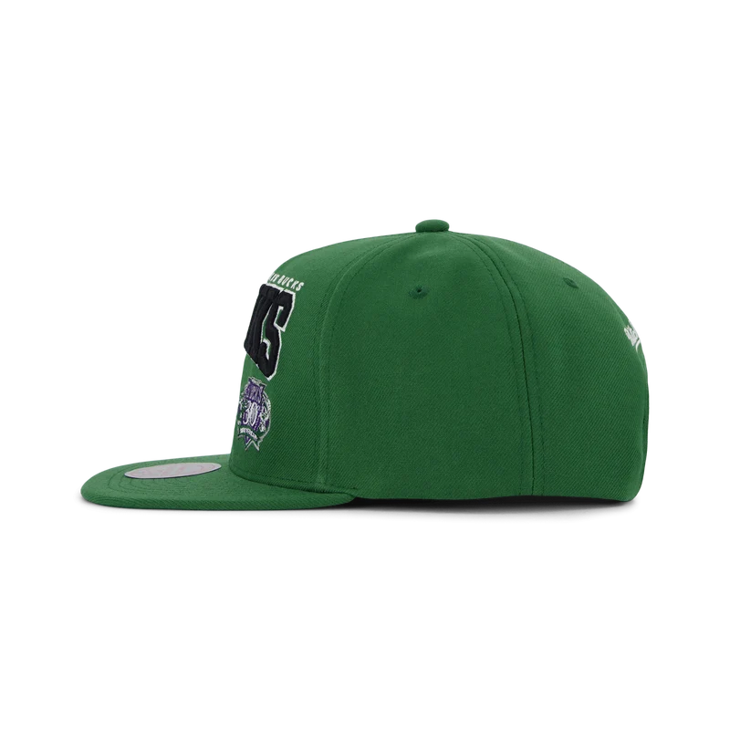 Bucks Champ Stack Snapback