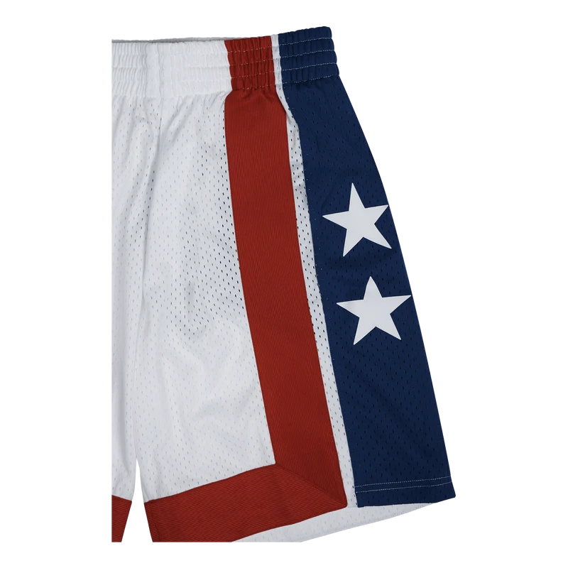 Nets Swingman Shorts 73-74
