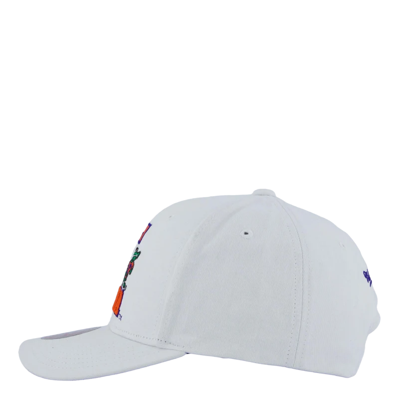Gators All In Pro Snapback